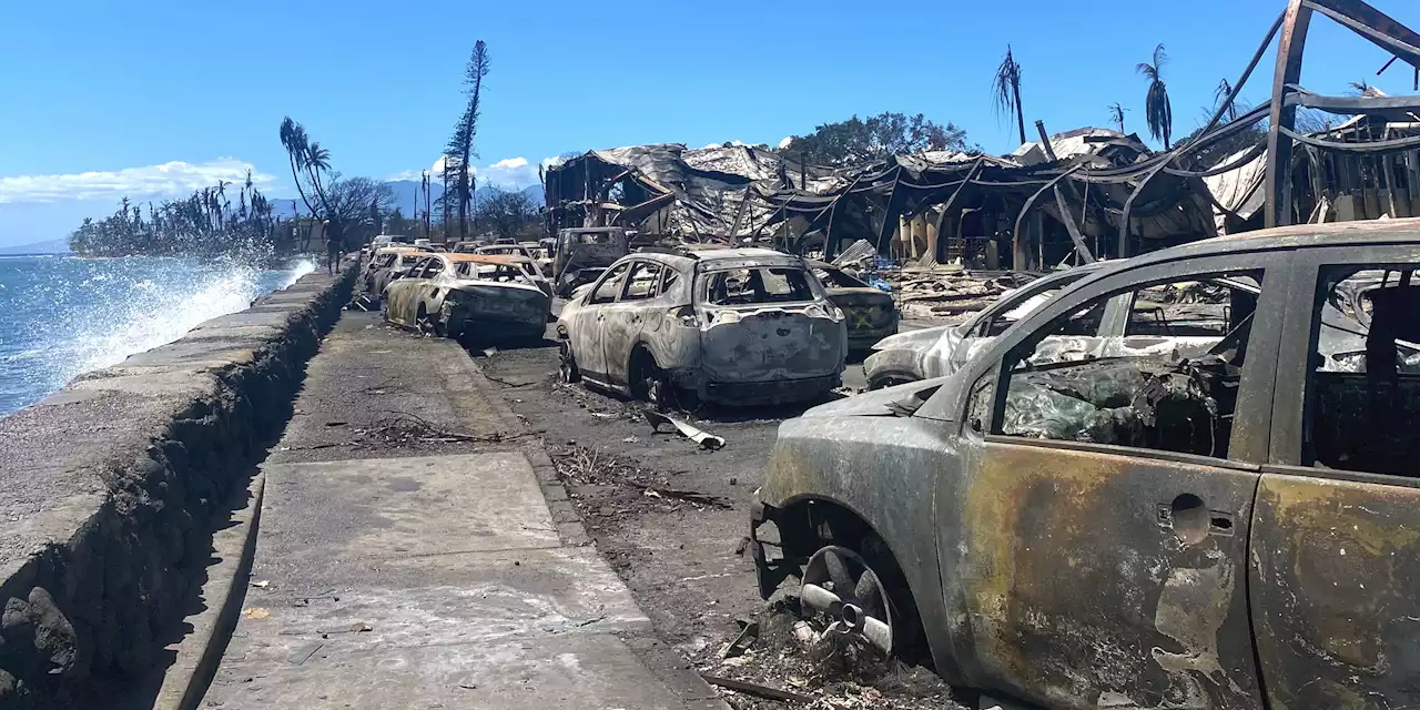 Le bilan des incendies à Hawaï atteint 96 morts et devrait encore augmenter