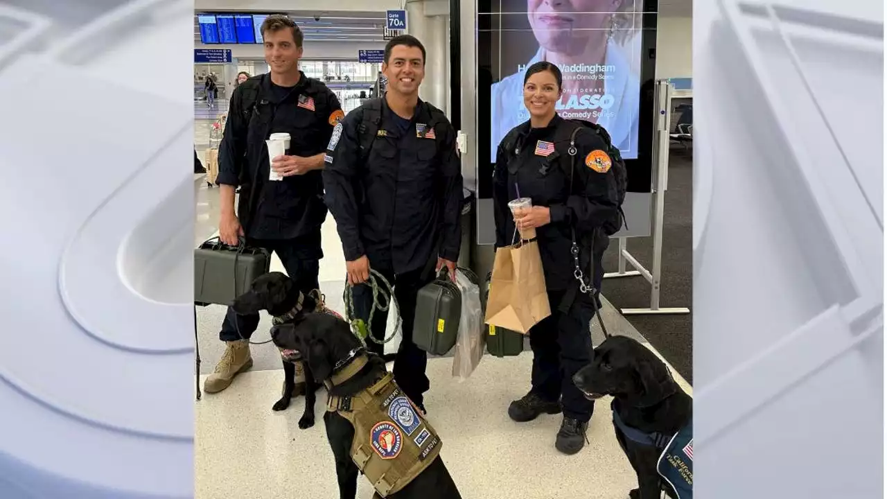 LA County Fire Department canine teams leave for Maui to help with recovery efforts