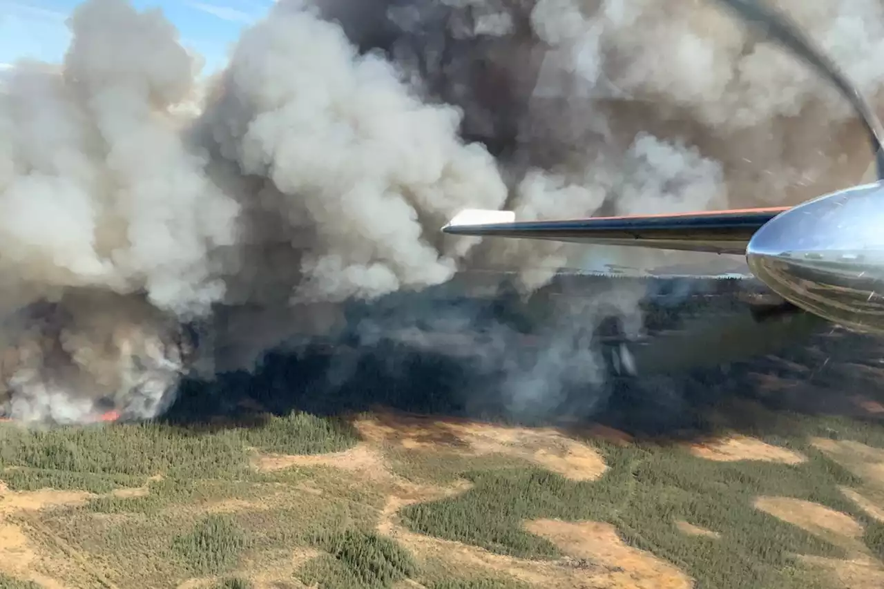 Politics Briefing: Canadian Forces members deployed to wildfires along the Alberta-Northwest Territories boundary