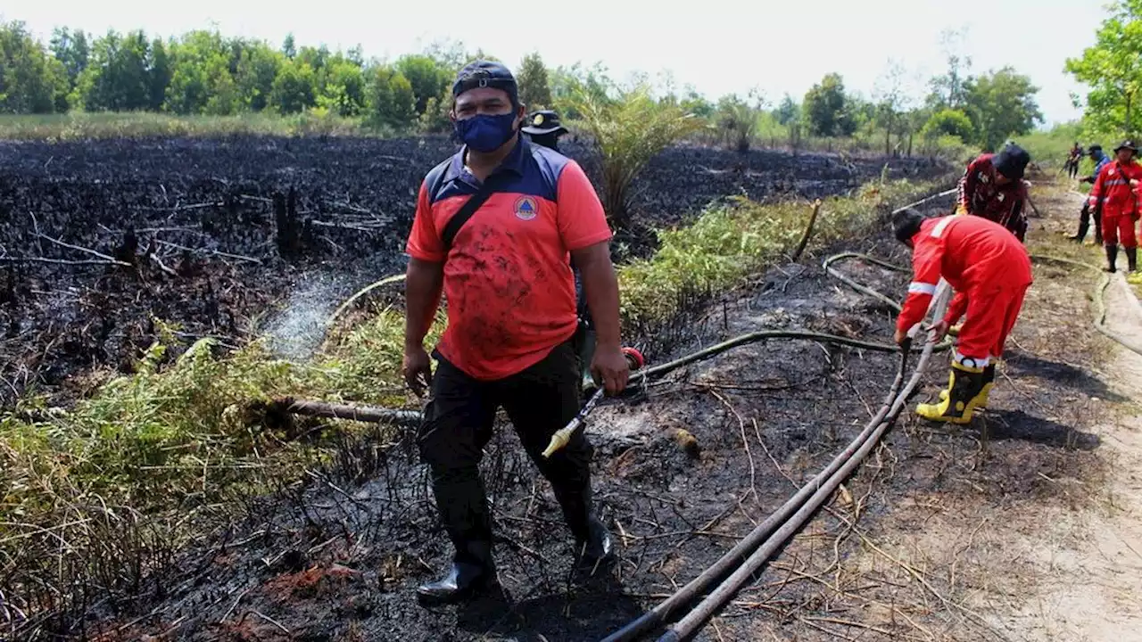 Kebakaran Lahan Mulai Berdampak pada Kualitas Udara di Kalteng