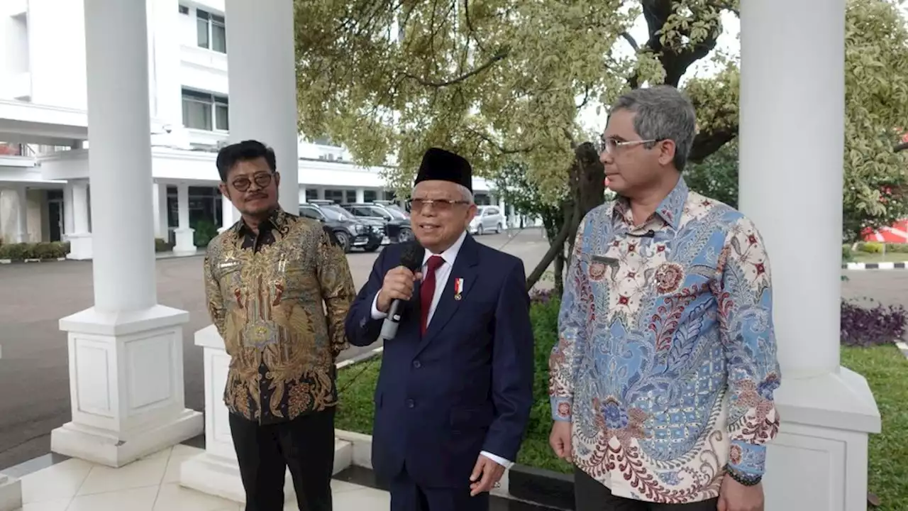 Wapres Amin Dorong Percepatan Program Diversifikasi Pangan yang Didukung Riset