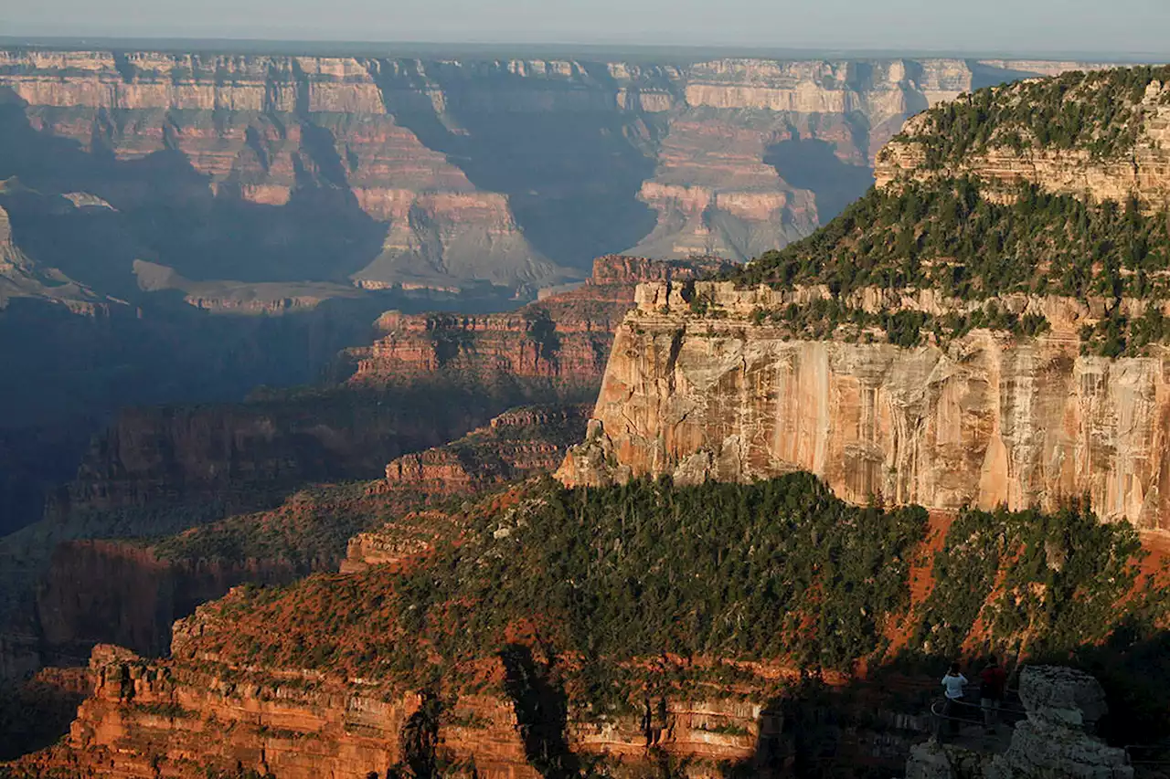 Boy Survives 100-Foot Fall At Grand Canyon After Dodging Tourist Photos