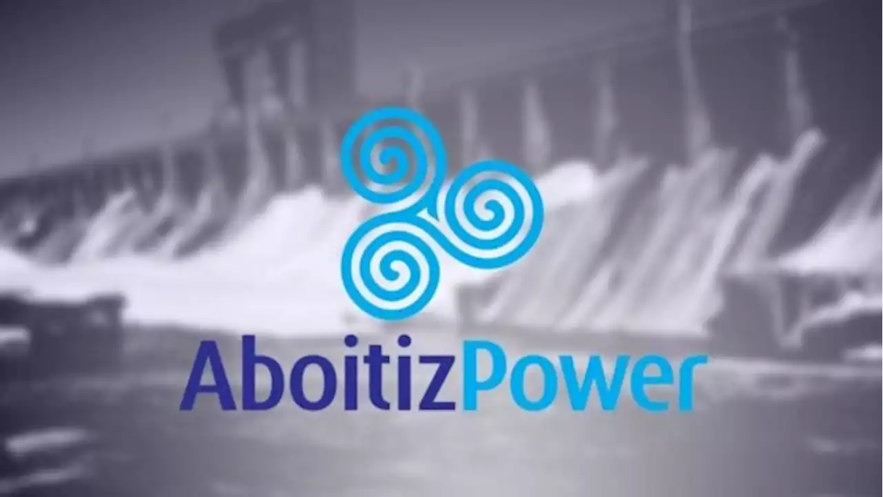 AboitizPower Eyes Expansion Of Cebu Coal Plant | Philippines