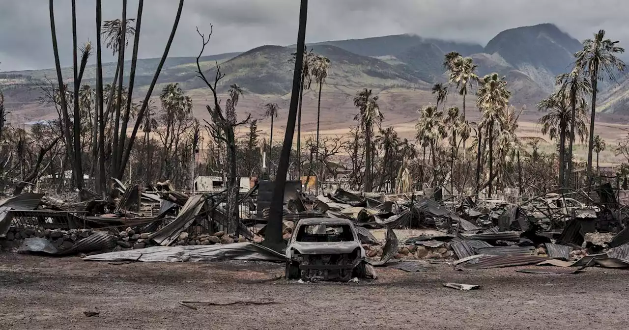 Hawaii wildfires: Tourists urged to stay away from Maui as death toll of 93 set to rise