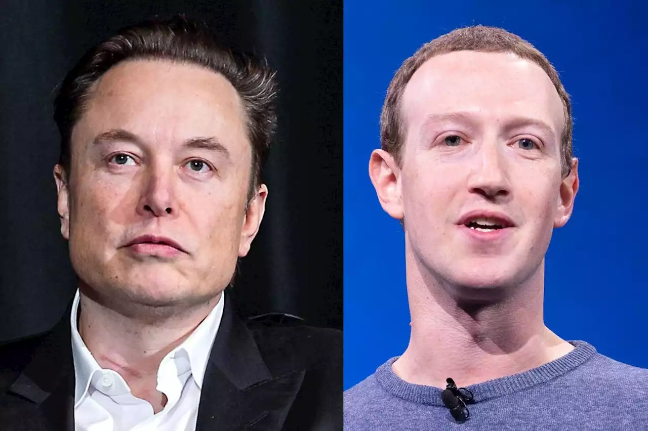 Finalement, Mark Zuckerberg ne veut plus d'un combat contre Elon Musk