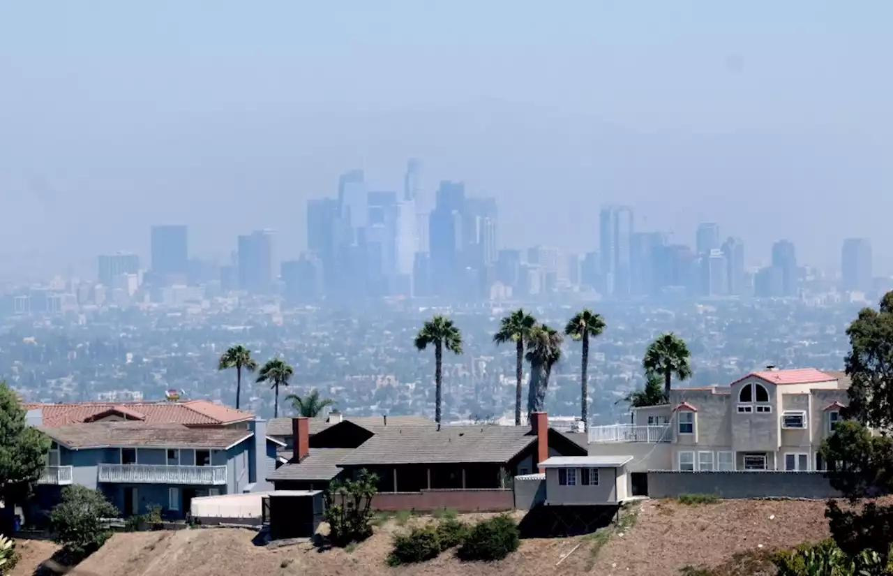 Living with air pollution in US raises risk of dementia, study finds