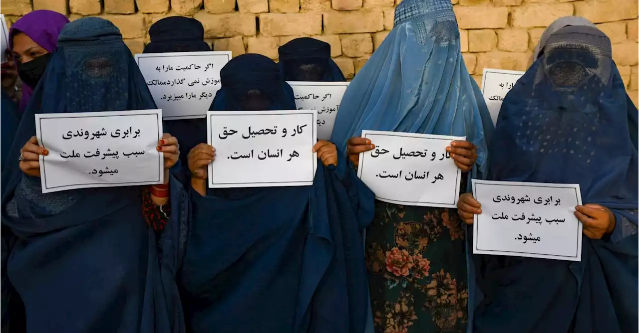 Afghanistan: les experts des Nations unies demandent l'asile pour les femmes afghanes