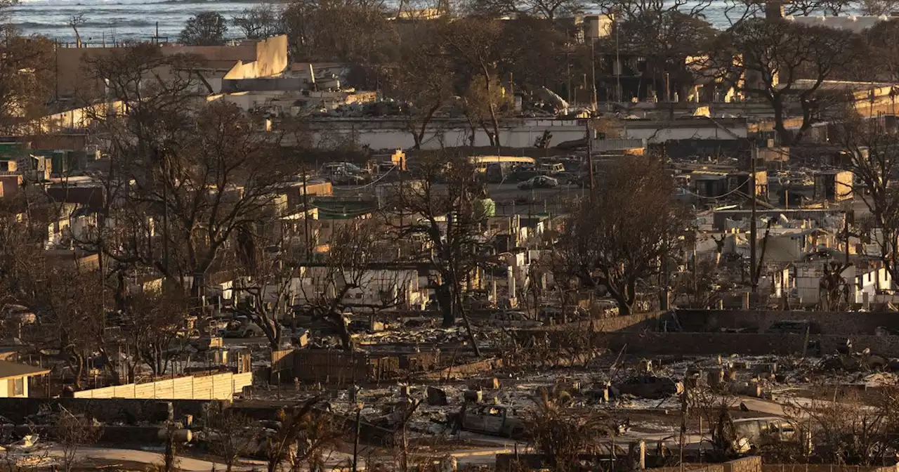 Le bilan des incendies à Hawaï atteint 93 morts et devrait encore augmenter