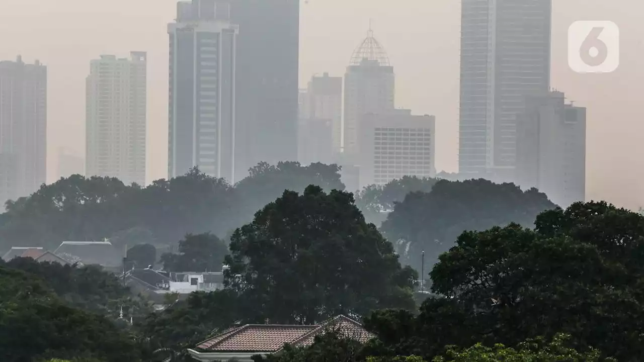 Atasi Polusi Udara di Jabodetabek, Jokowi Dorong Kantor Terapkan WFH