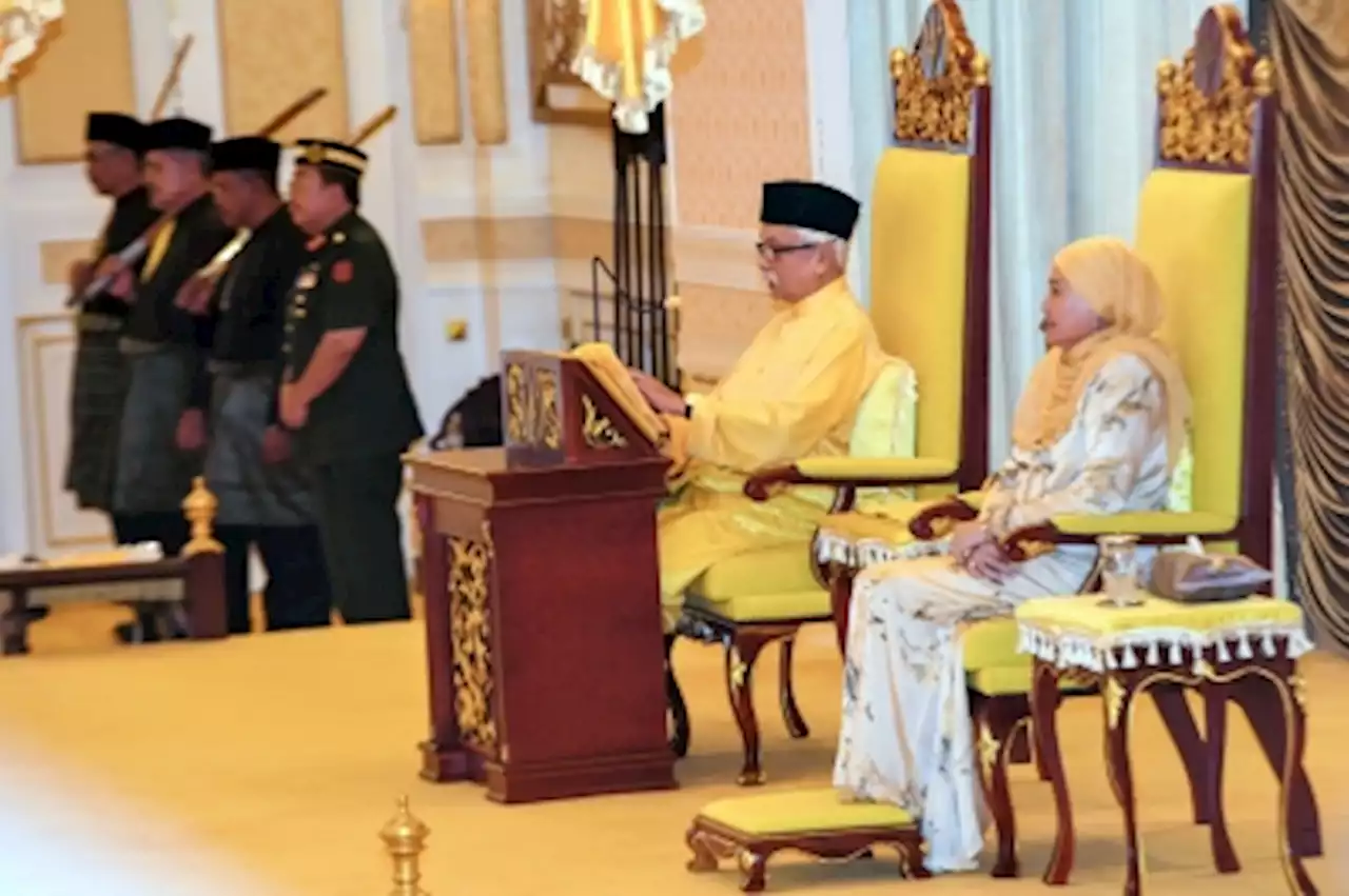 Tuanku Muhriz: Elected representatives must be voice of the people