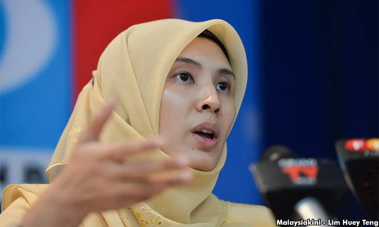 Nurul Izzah: Let’s focus on improving messaging, economic schemes