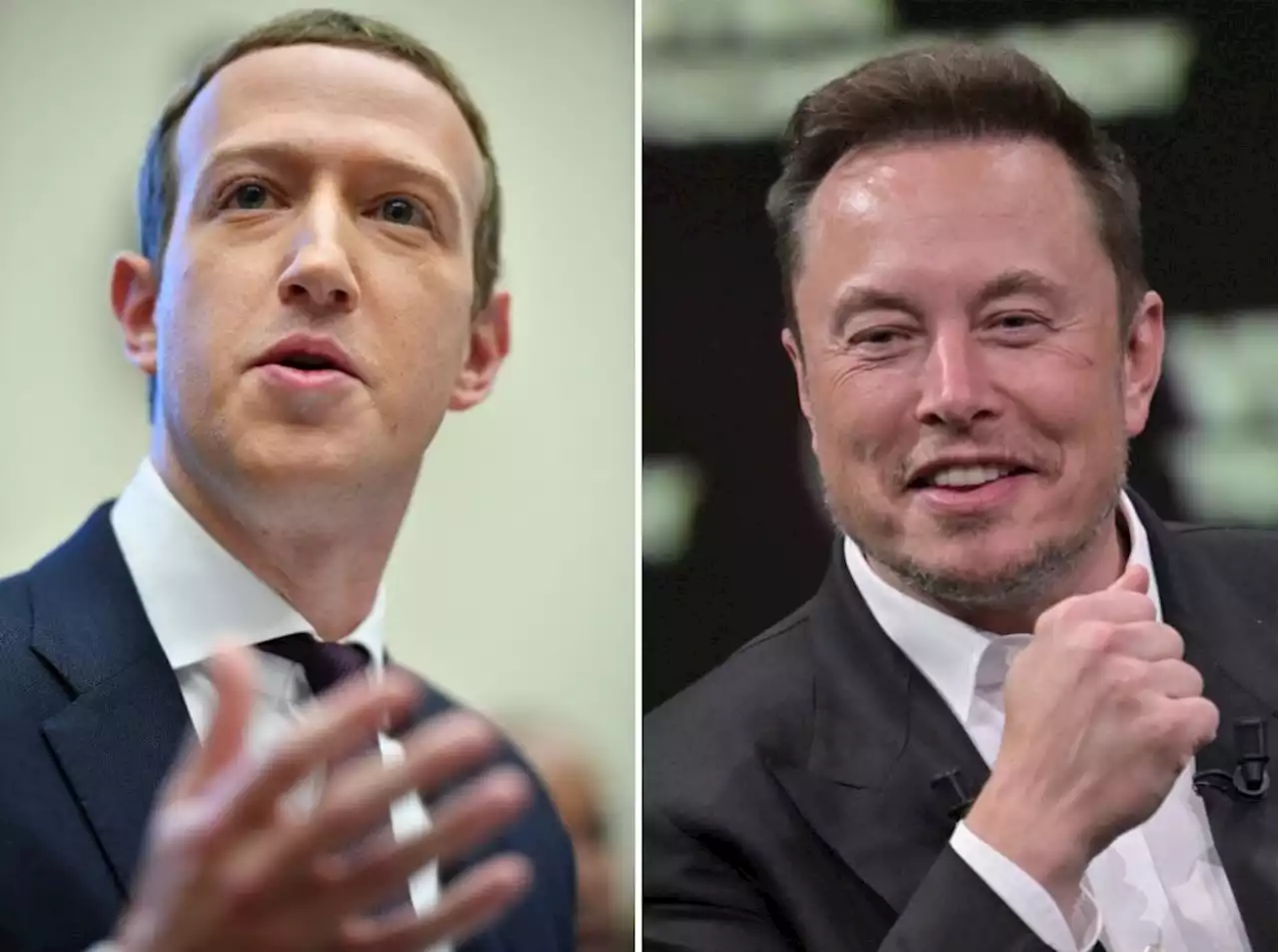 Zuckerberg, Musk trade verbal jabs over proposed cage match | The Malaysian Insight