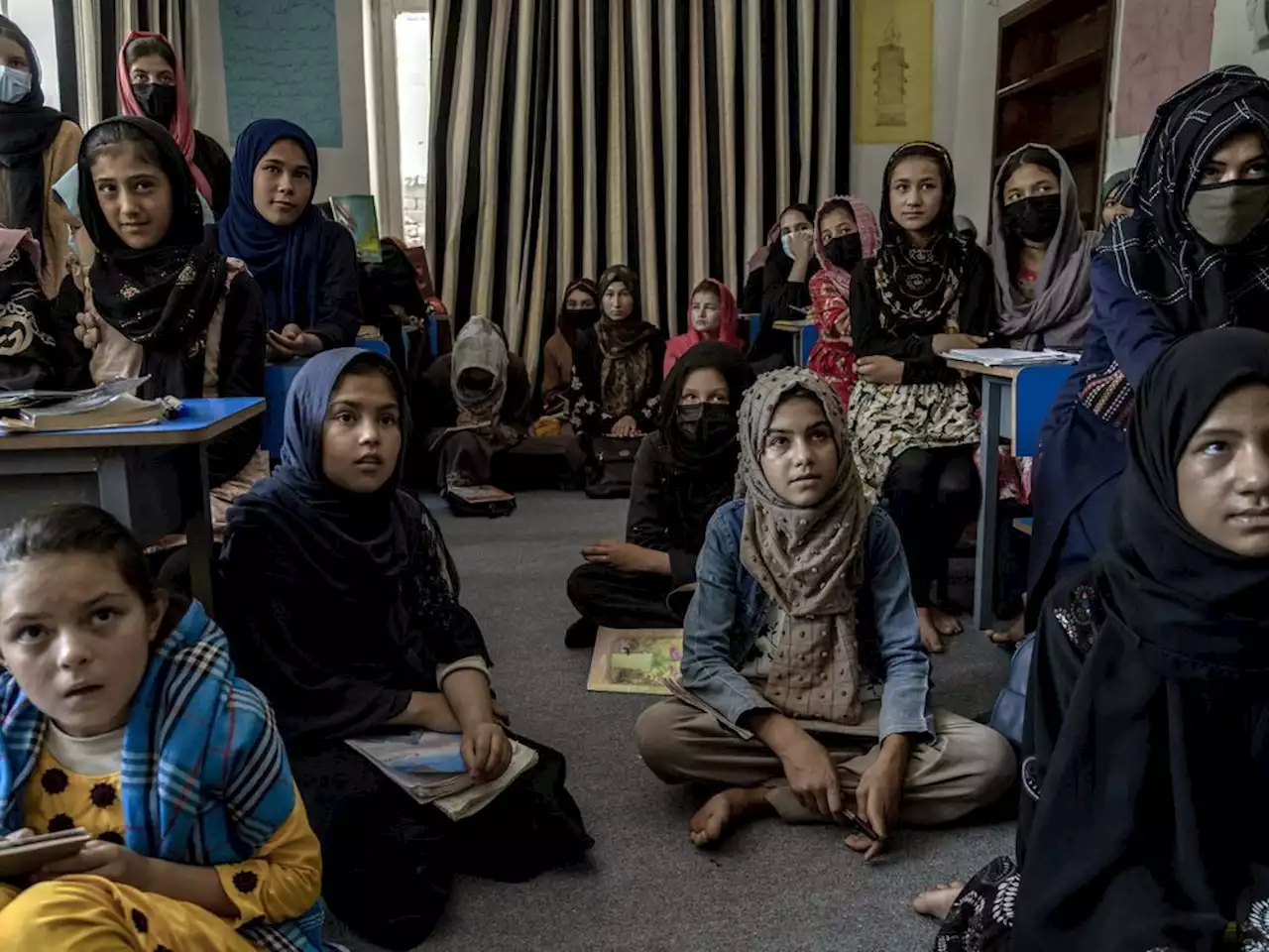 Afghan women ask Canada for education and accountability