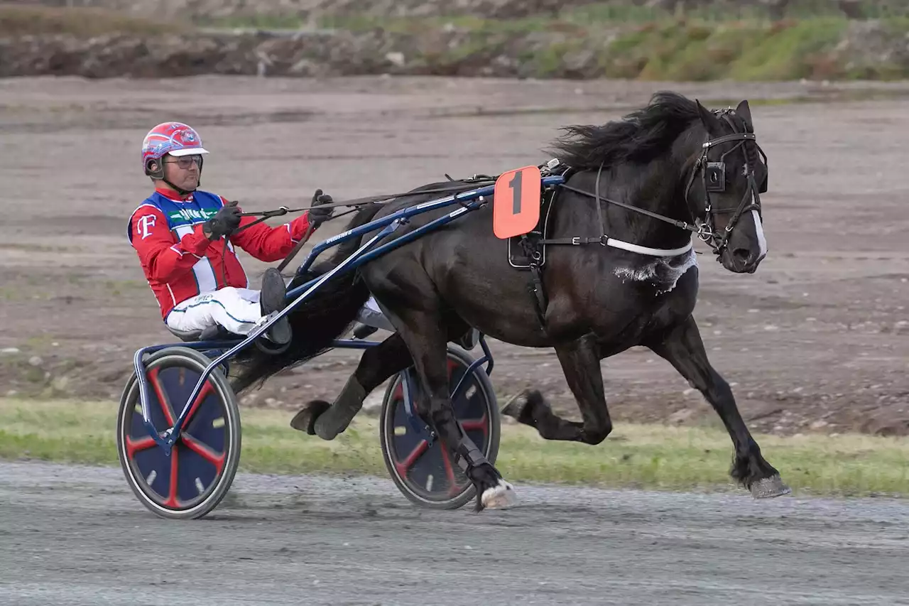 Flåten fikser V65-kronene på Klosterskogen