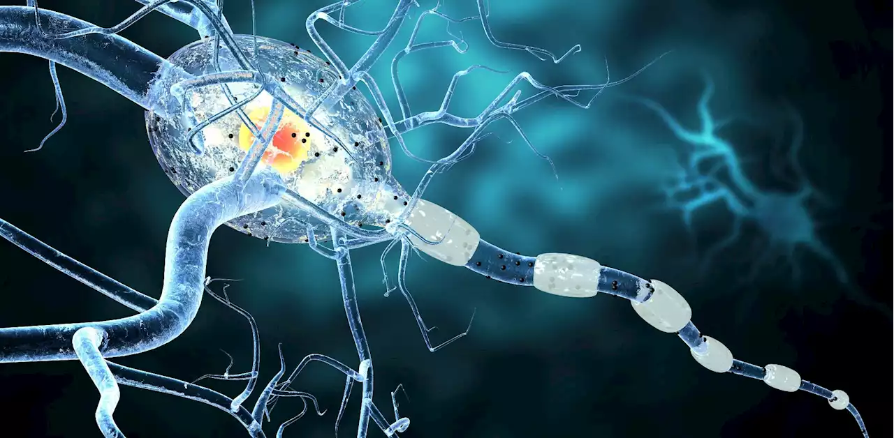 Exploring DNA methylation biomarkers of multiple sclerosis