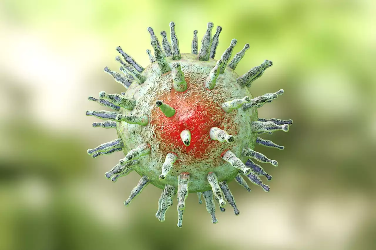 Novel multi-epitope subunit vaccine induces robust immune response against Epstein-Barr virus