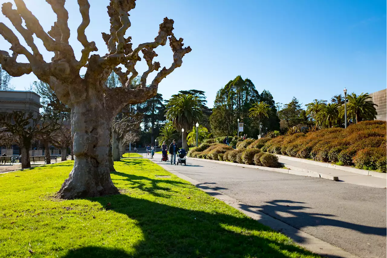 Mystery woman's body found in duffle bag in San Francisco park