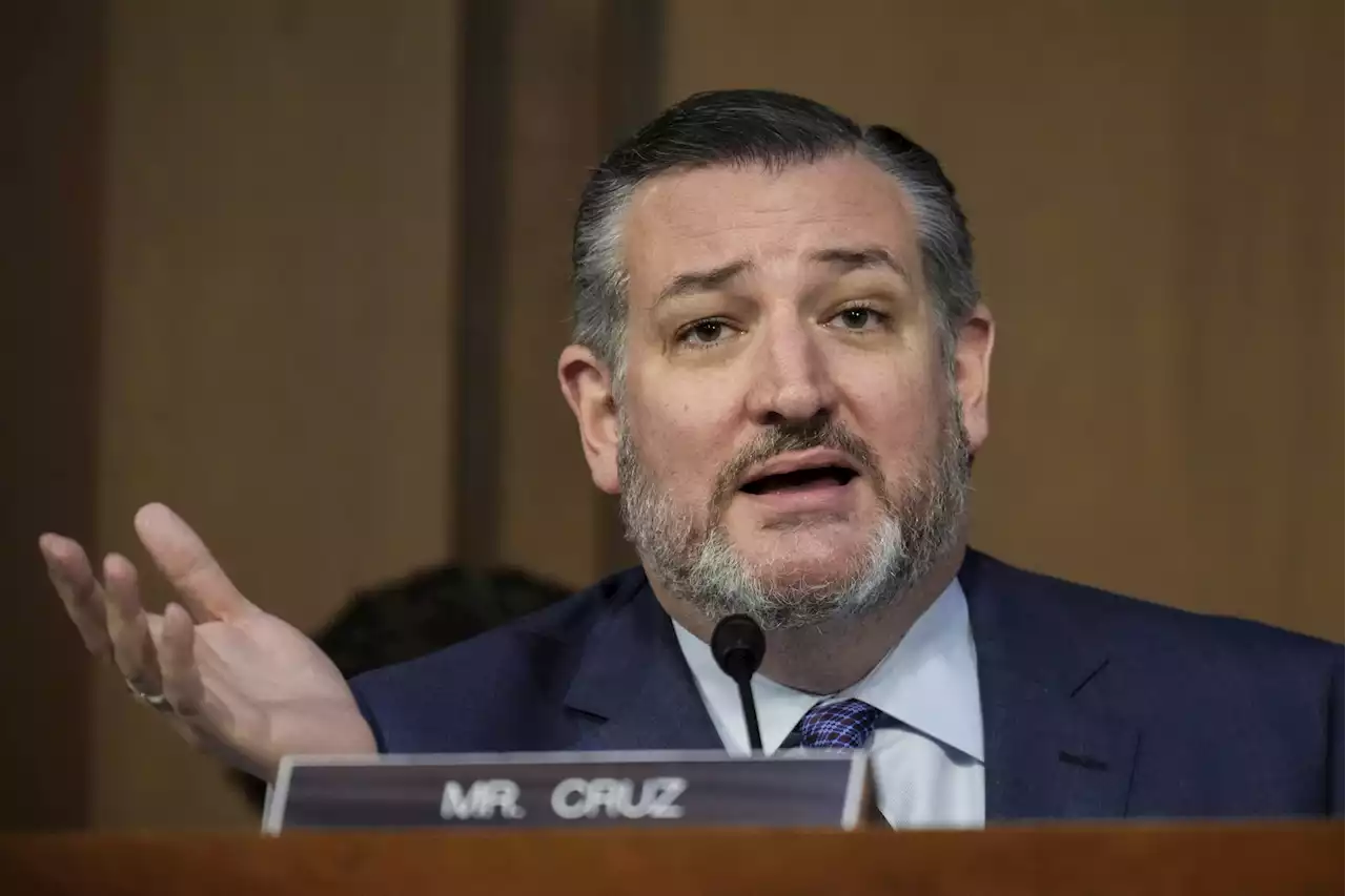 Ted Cruz says Joe Biden should 'share cell' with Hunter in prison