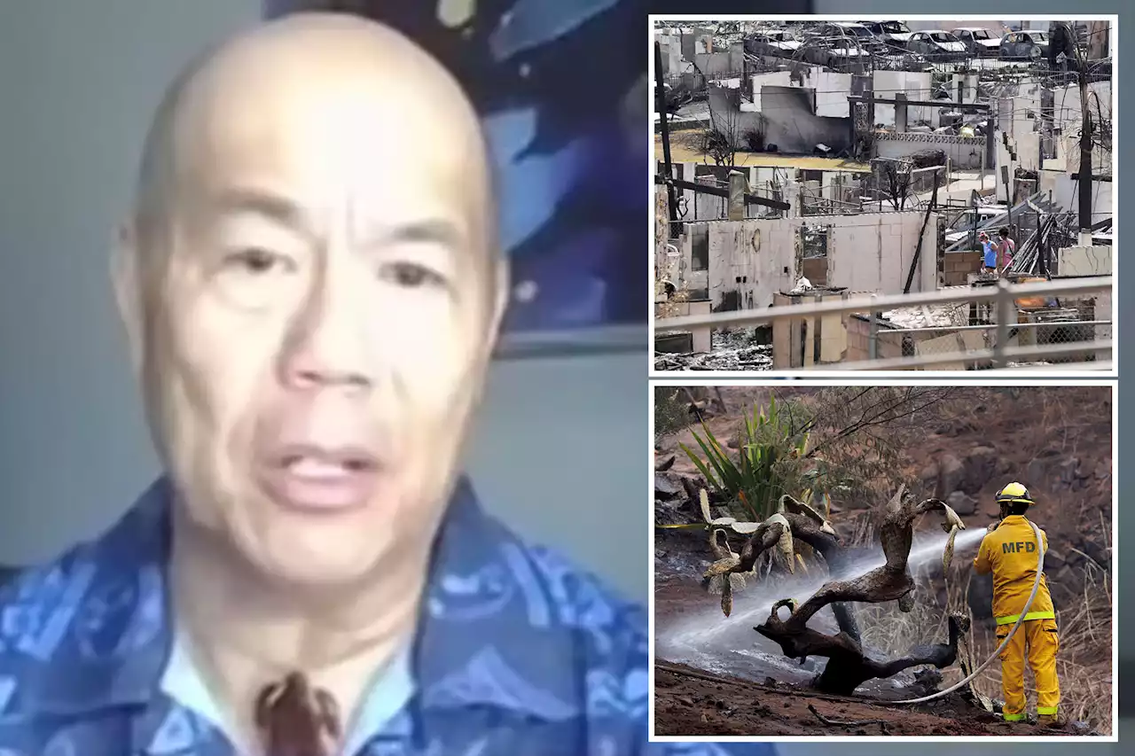 Emotional moment Hawaiian broadcaster reveals on-air that he lost four relatives to historic wildfires