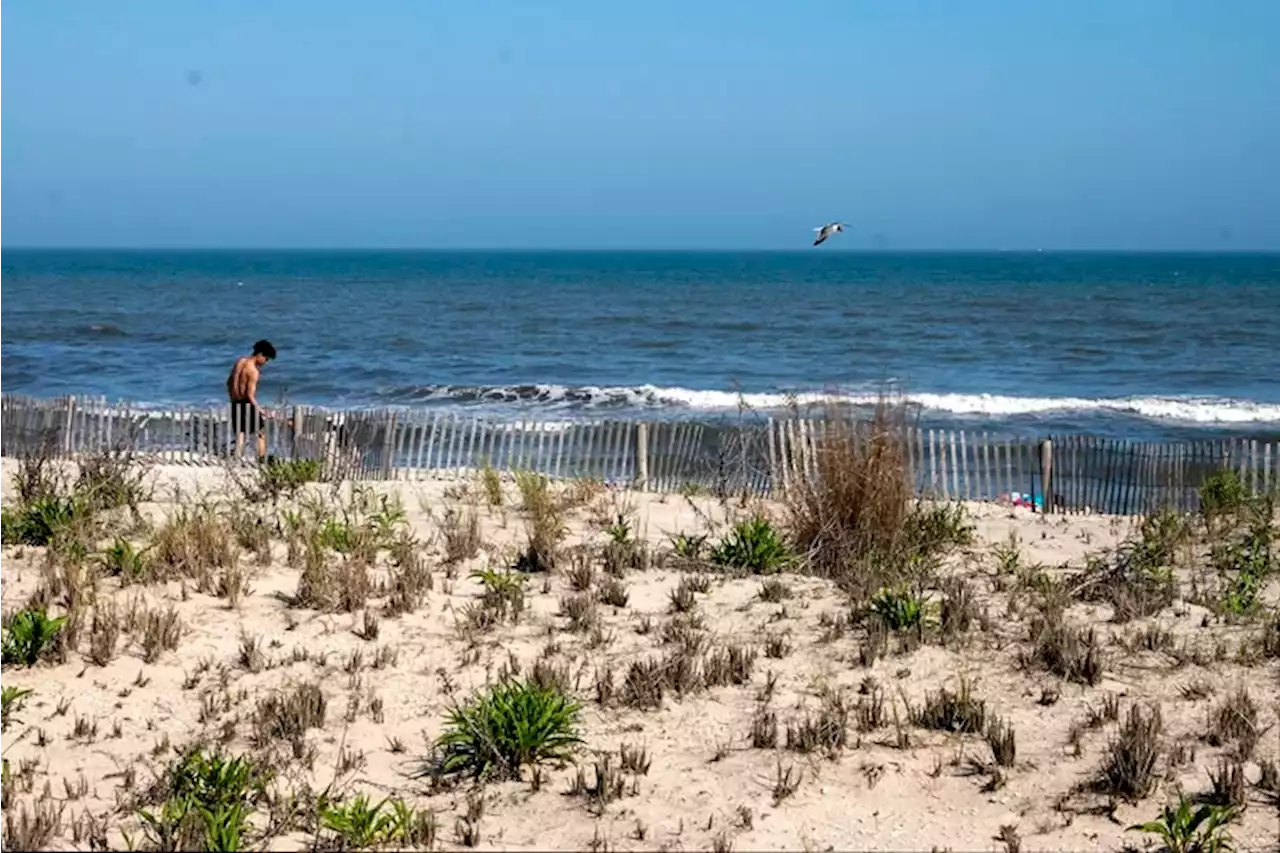 Boat crash kills 79-year-old woman off the Atlantic City coast