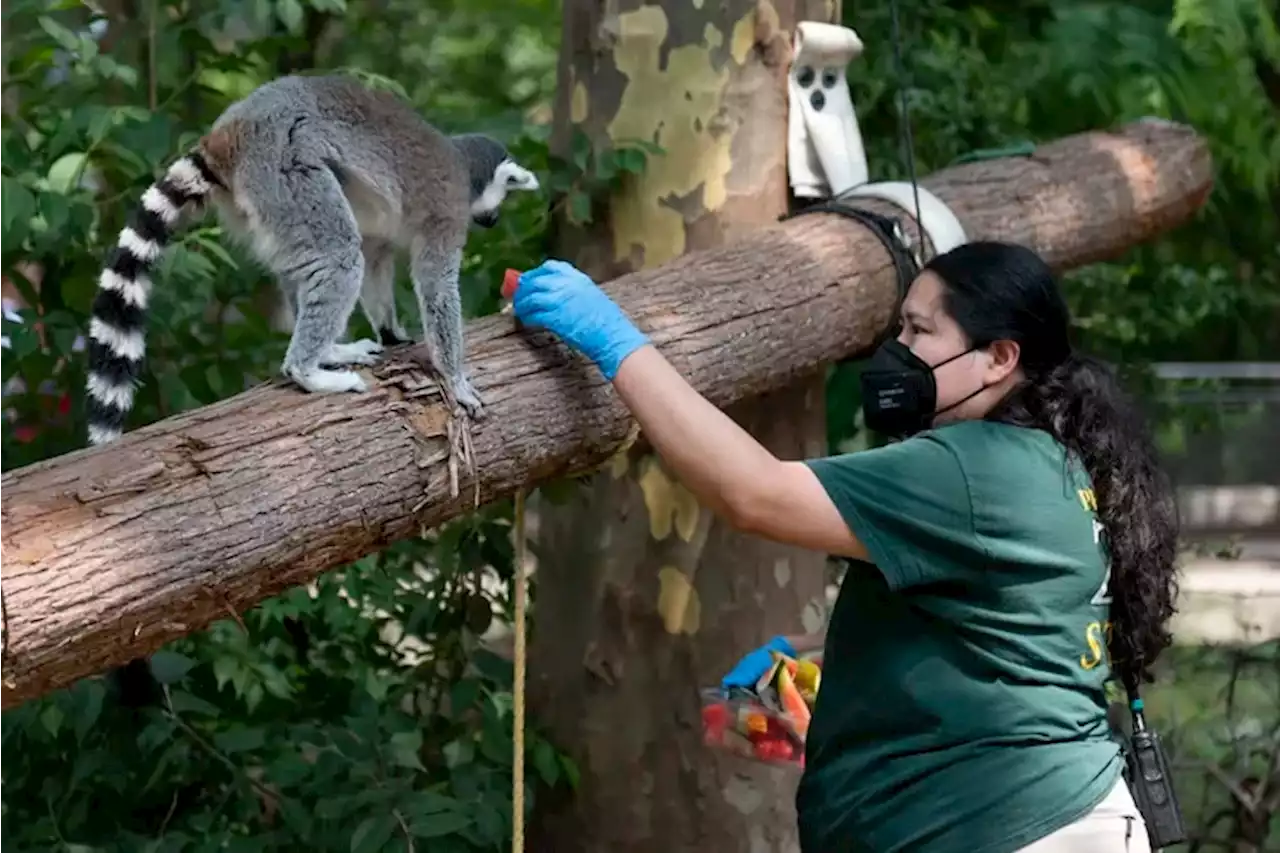 Philadelphia Zoo workers focused on animal welfare and staff safety as they negotiated a post-pandemic contract