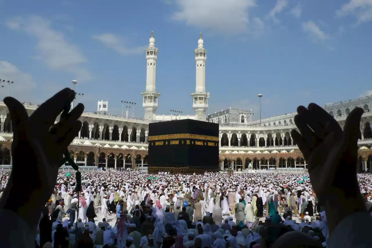 Hajj: Cargo operators apologise to pilgrims over delay in delivery of goods