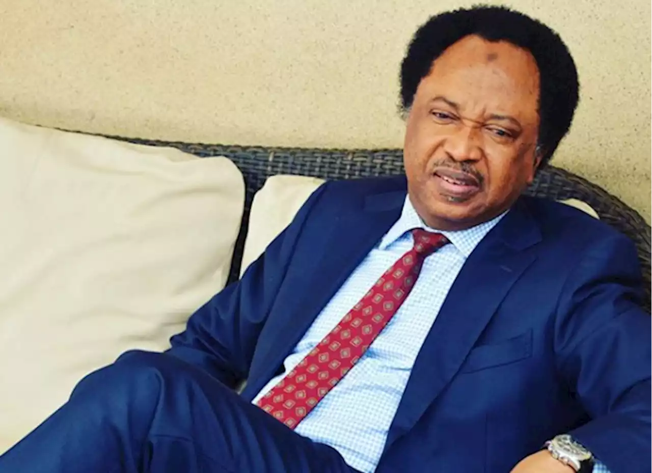 Why military takeover of govt in West Africa increasingly re-emerging – Shehu Sani