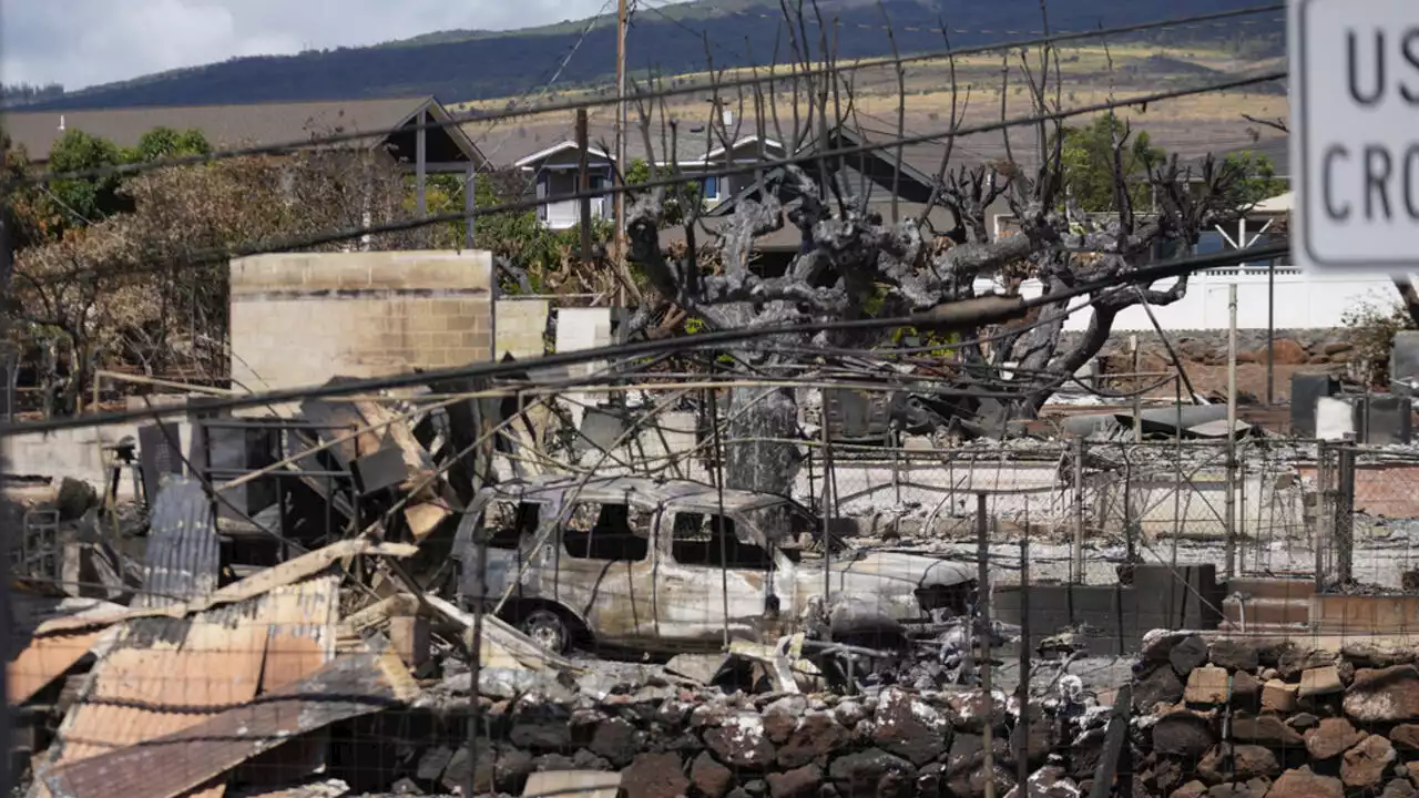 Incendies à Hawaï : des conséquences économiques difficiles à évaluer