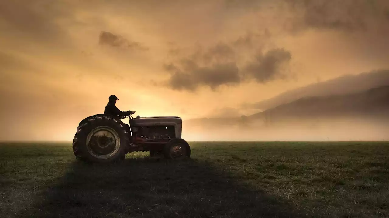 La disparition inquiétante des agriculteurs en Belgique - rtbf.be