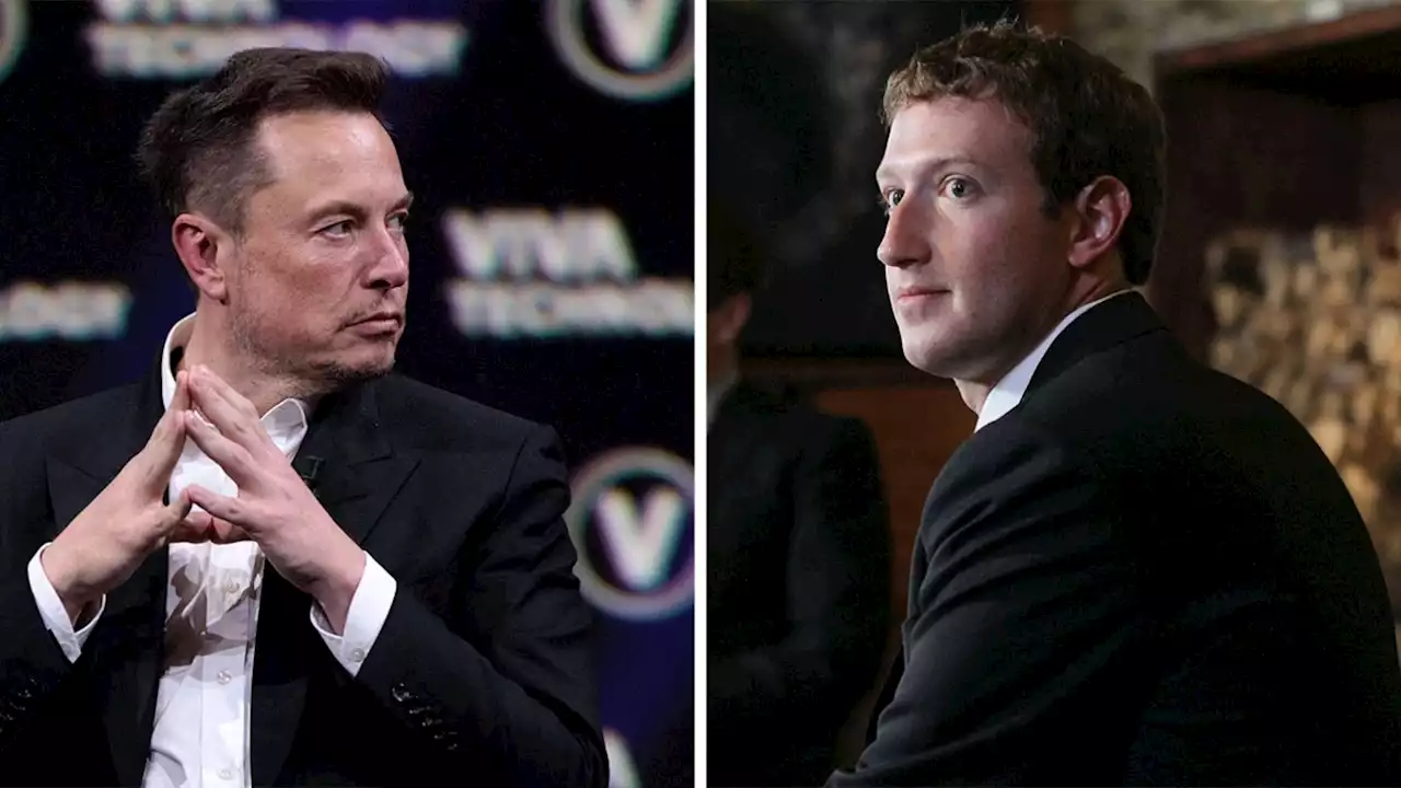 'Zuck est une mauviette': Mark Zuckerberg et Elon Musk s'attaquent (encore) par plateforme interposée