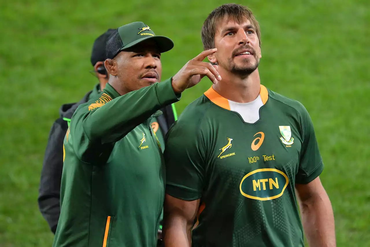 Bok squad a win for 'minnow' SA schools