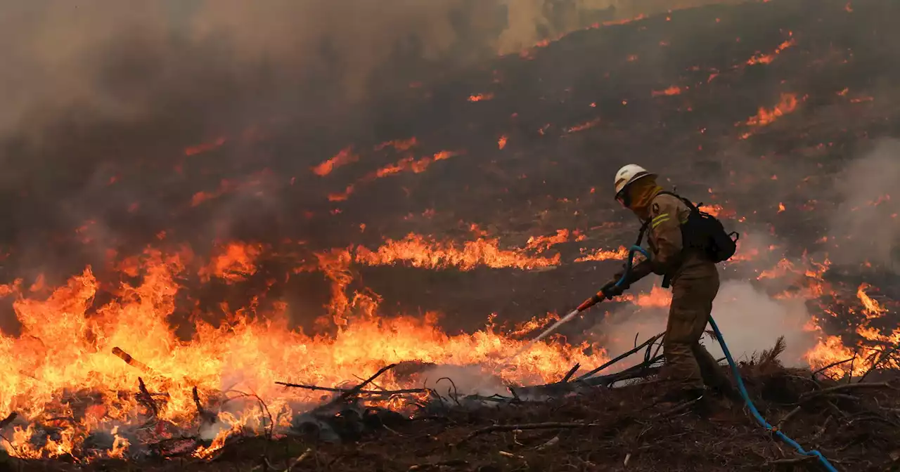 Fogo em Carrazeda de Ansiães obriga a retirar duas pessoas de aldeia