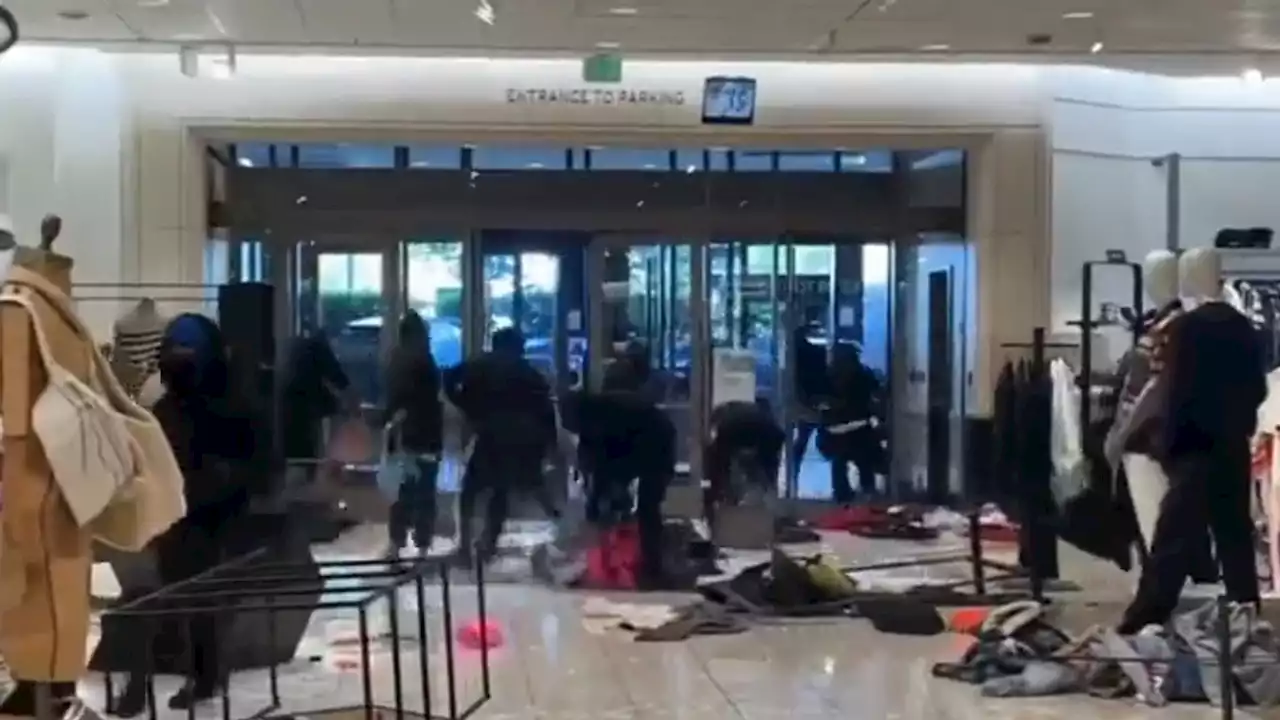 Looters armed with bear spray steal $100,000 worth of luxury goods from Los Angeles shopping centre