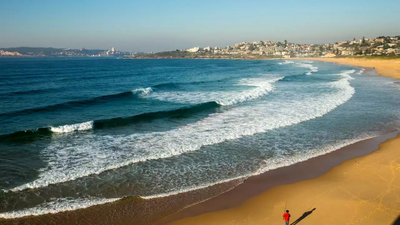 Young man dies after frantic rescue operation on Sydney beach