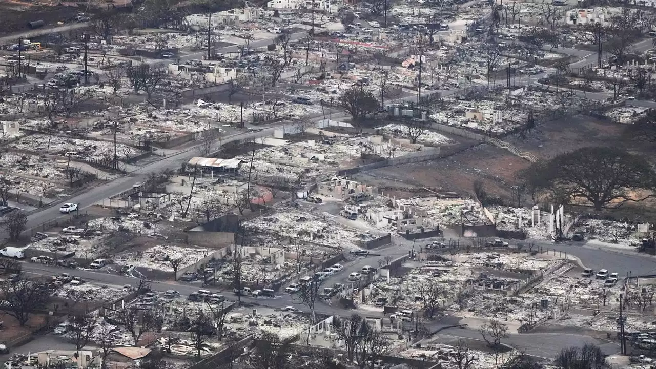 Class-action suit filed against Hawaii Electric over wildfires