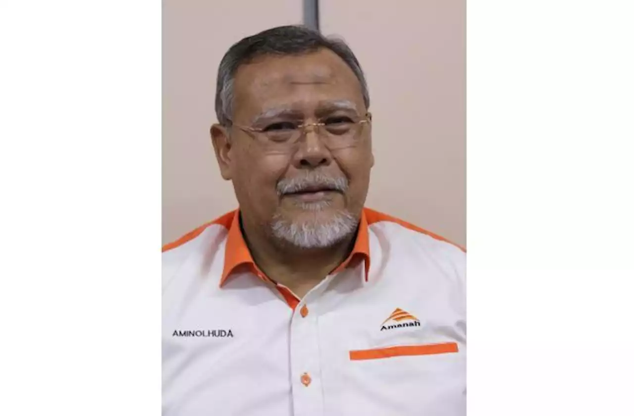 Pulai, Simpang Jeram by-elections: Johor Amanah to submit list of candidates on Aug 15