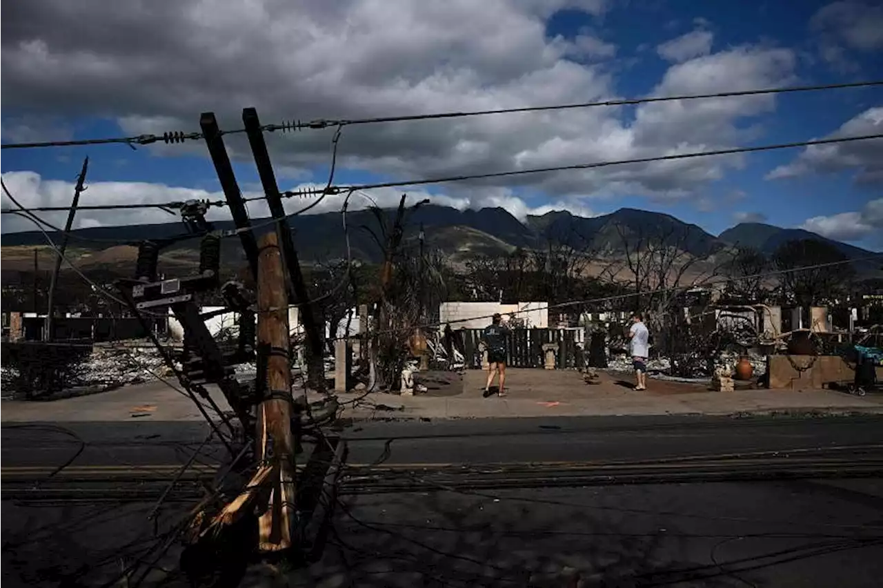 In search for Hawaii fires cause, lawyers probe power lines