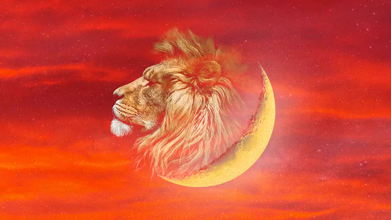 How the New Moon in Leo of August 2023 Will Affect Each Zodiac Sign