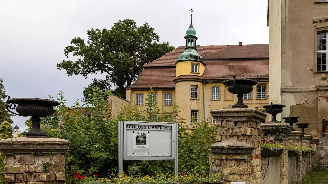 Rassistische Anfeindungen in der Lausitz: Polizei leitet mehrere Ermittlungsverfahren ein