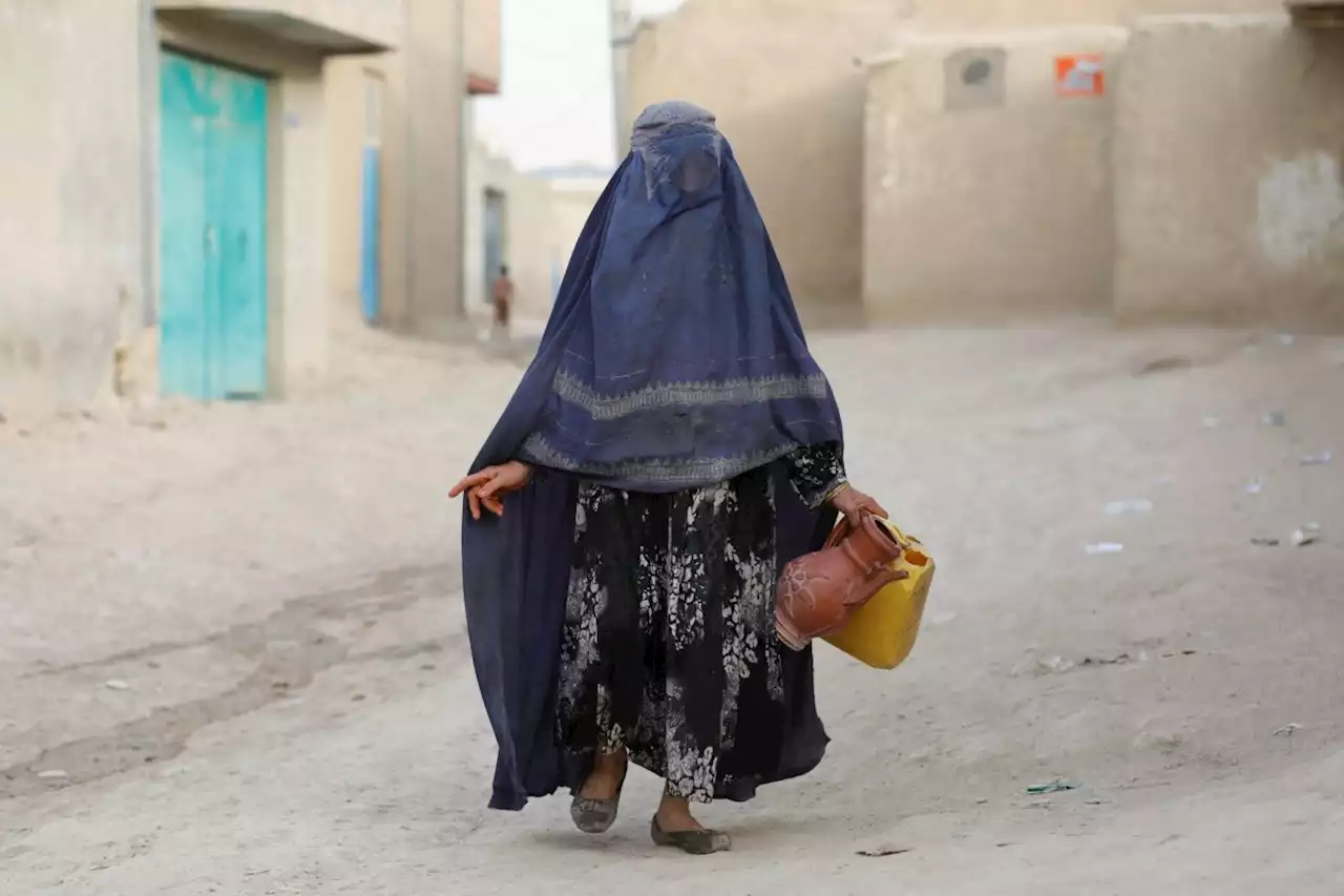 'I wake up thinking I'm late, then I realise I can't work': Life for women under the Taliban