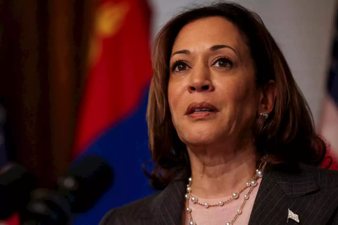 The revival of Brand Harris is underway as Kamala offers Democrats hope