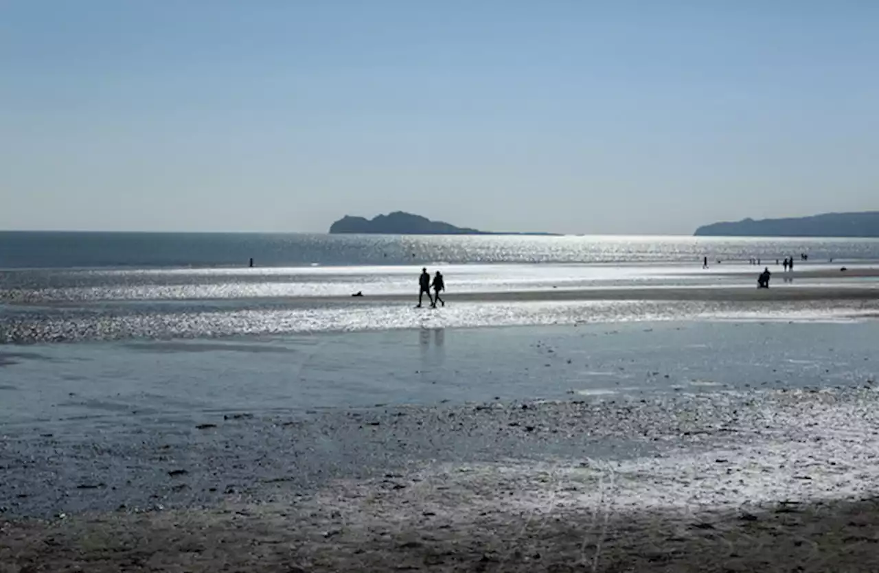 Inflatable toy retrieved off Dublin coast after false reports of missing child