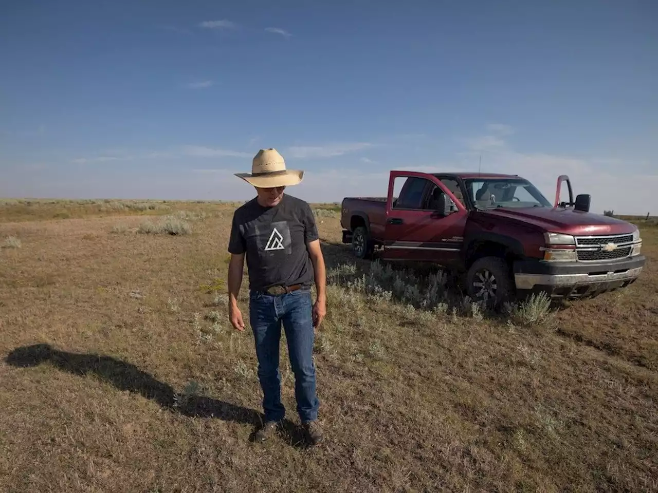 High and dry: Sustained drought imposes hardship on Sask. ranchers