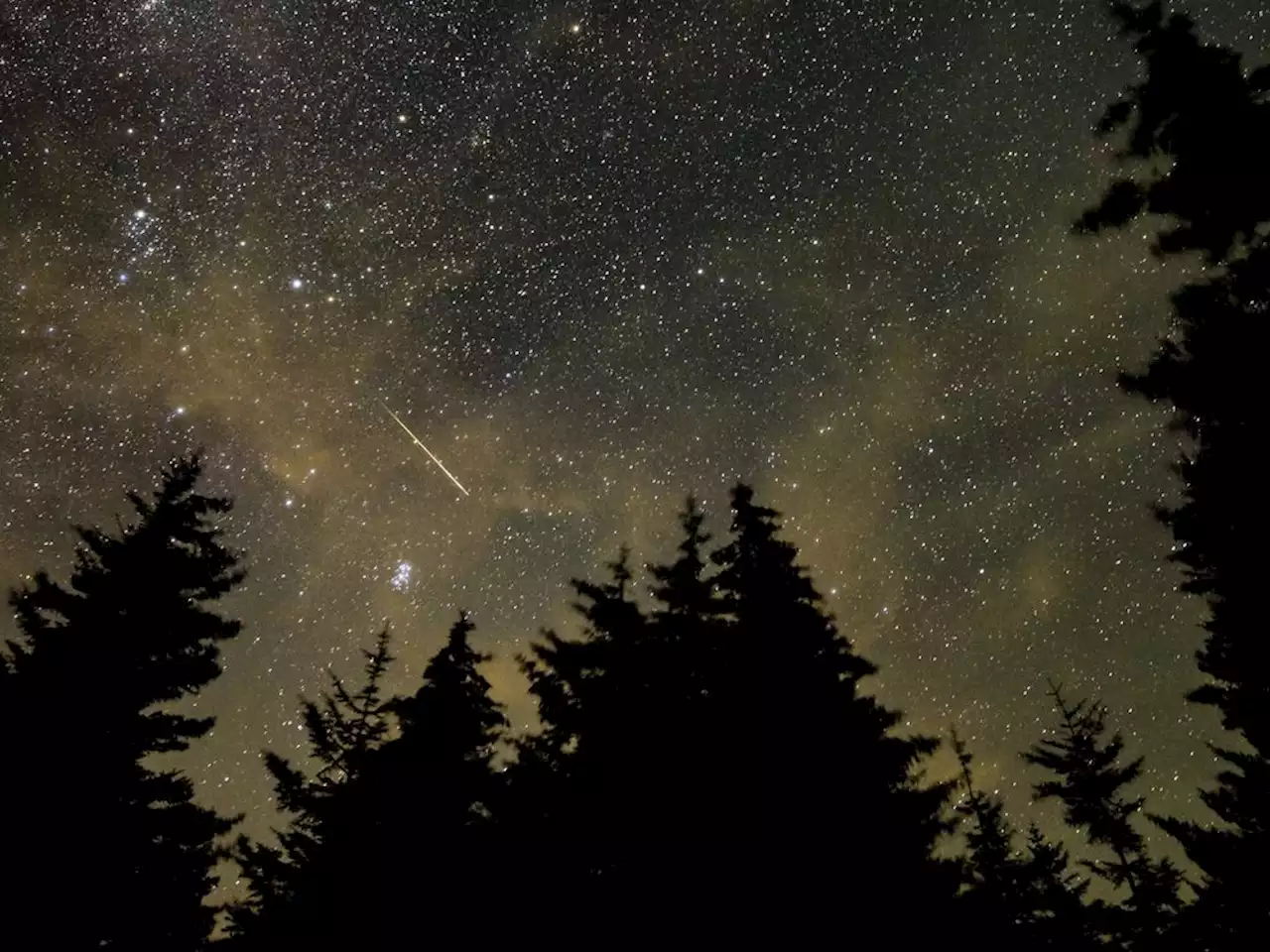 LOOK UP, WAY UP: Annual Perseid meteor shower reaching its peak