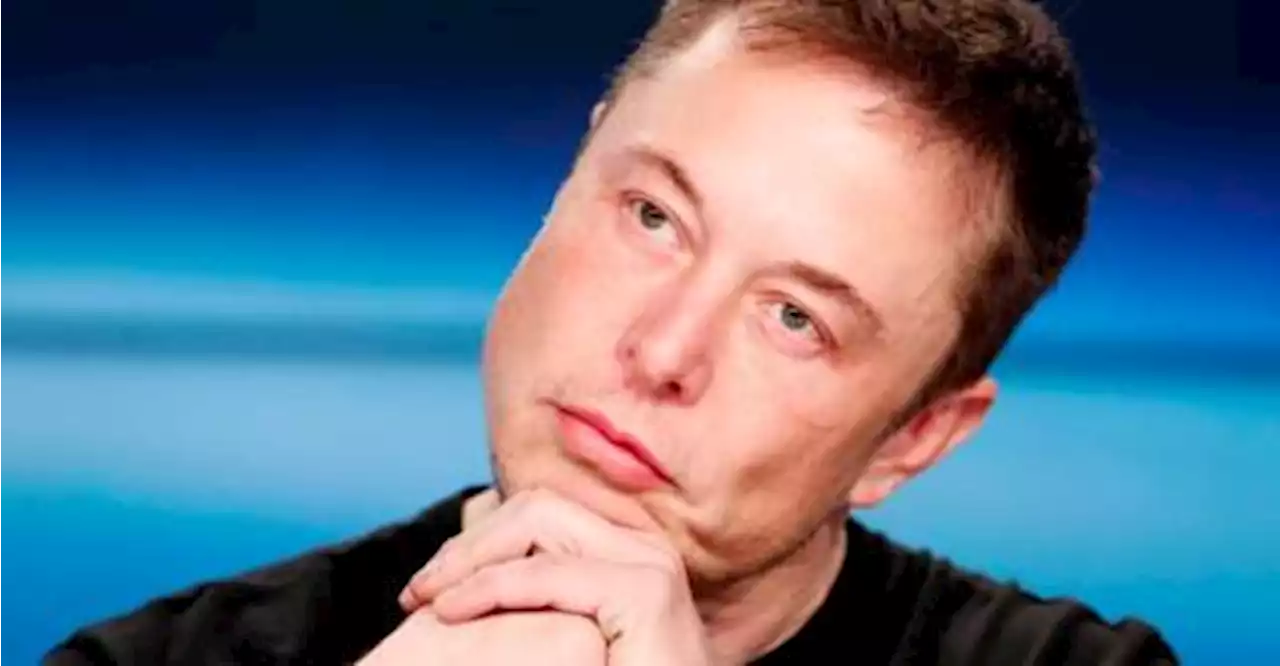 Elon Musk, Mark Zuckerberg exchange taunts as ‘cage match’ stalls