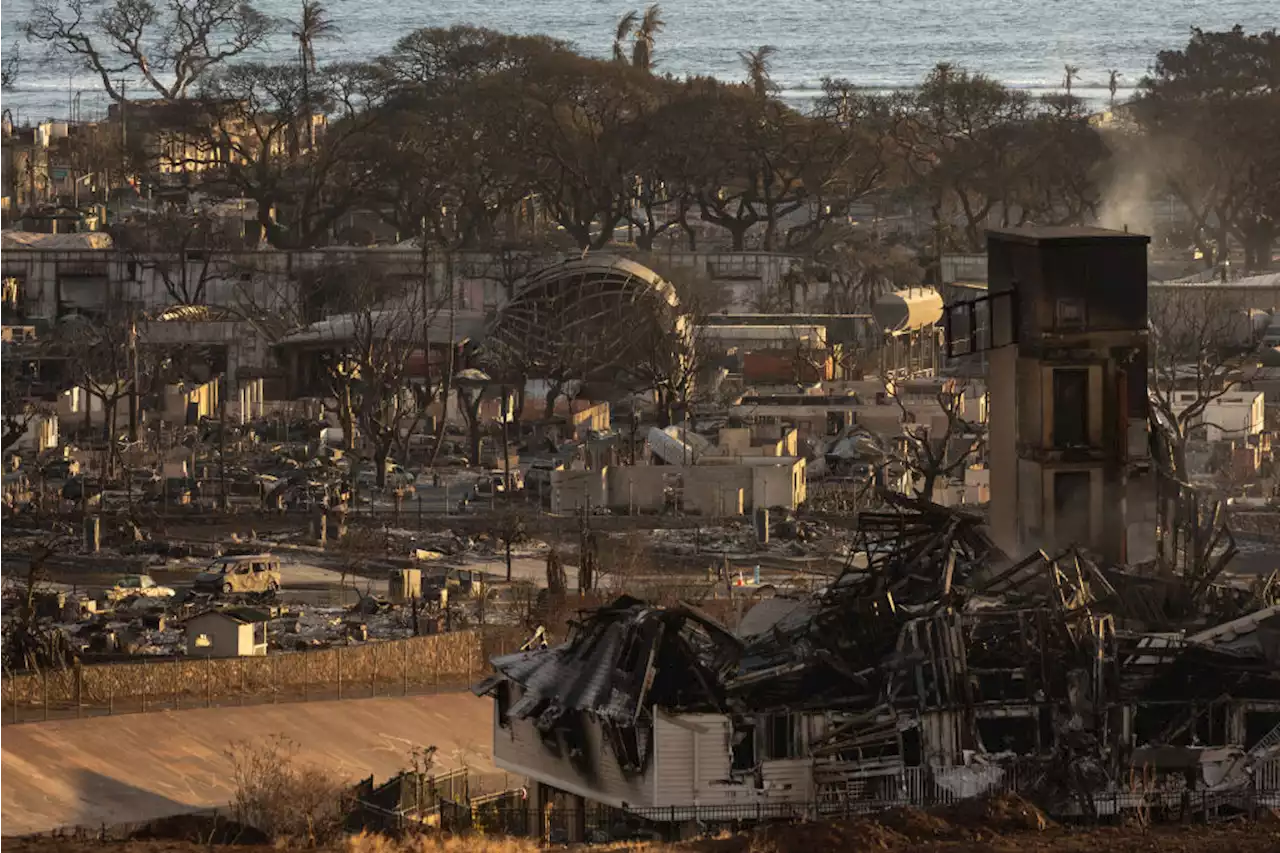 Maui Scientists Warn Toxic Particles Will Remain After Wildfires