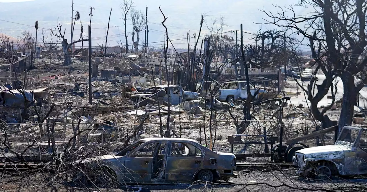 Maui fire becomes the deadliest wildfire in modern US history as death toll rises to 96