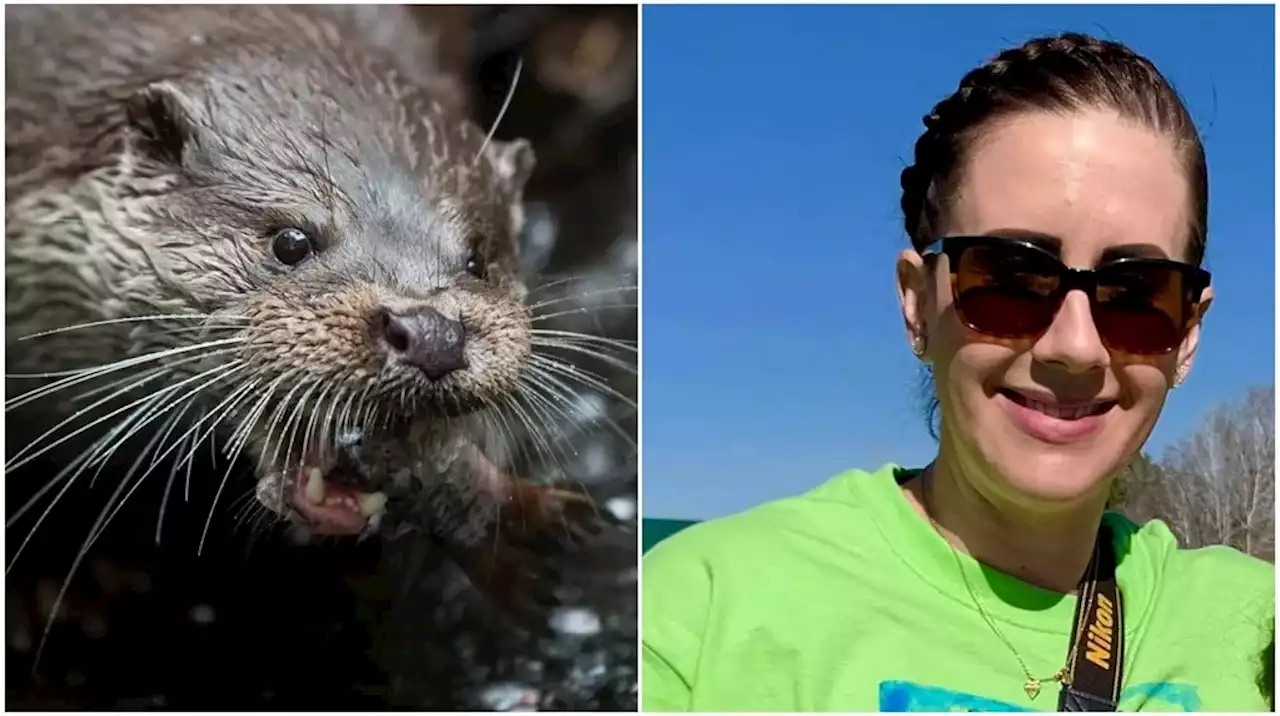 Una mujer sobrevivió al feroz ataque de una nutria: “Perdí casi la mitad de una oreja”