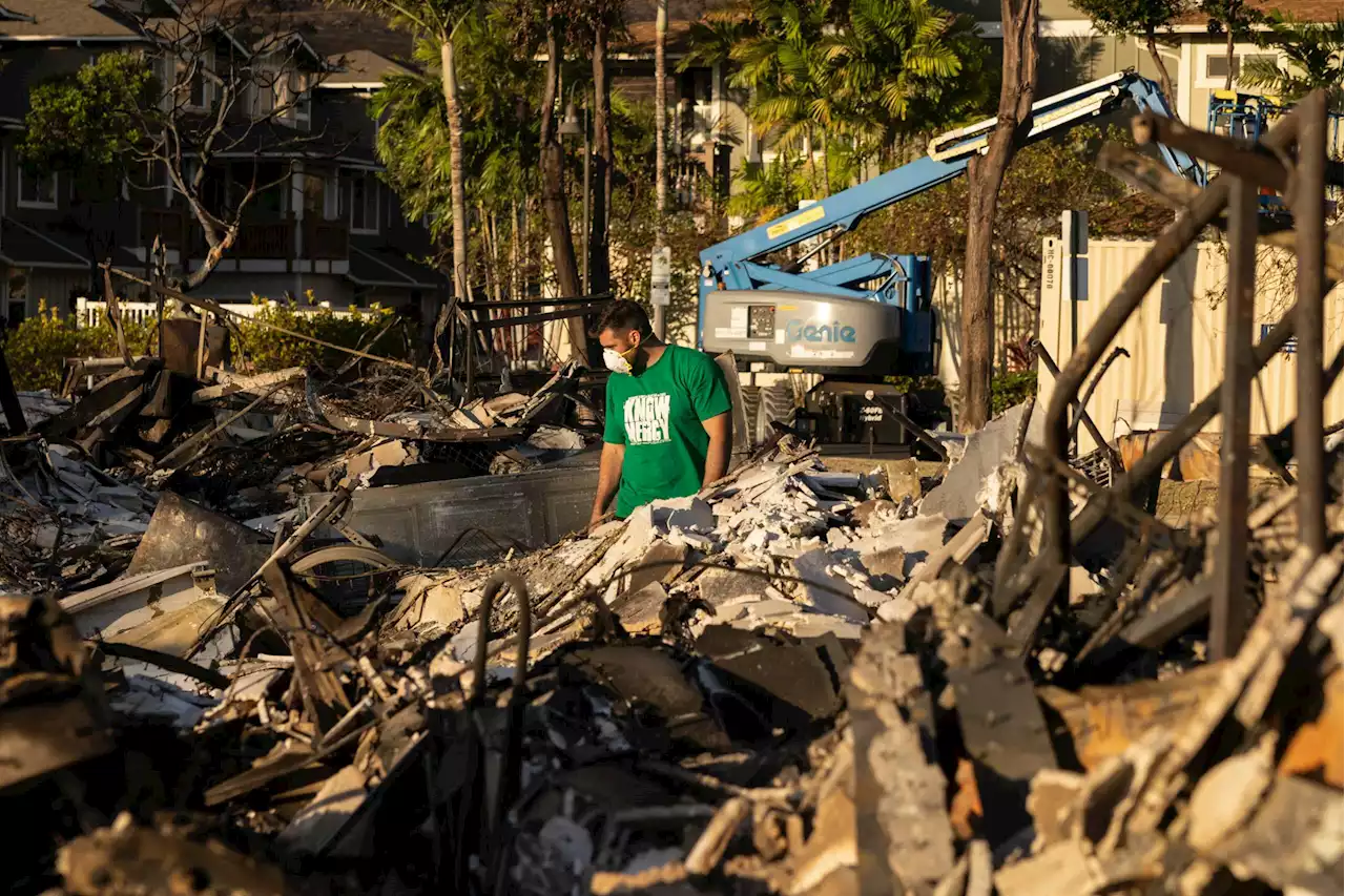 Hawaii AG Investigates Wildfire Policies as Death Toll Reaches 80