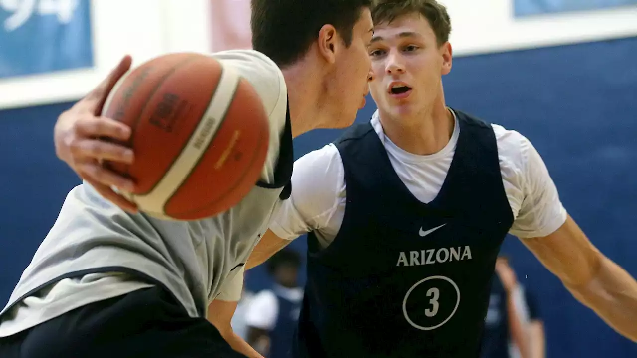 Filip Borovicanin, Keshad Johnson help Arizona Wildcats to 124-77 exhibition win over Israel Select